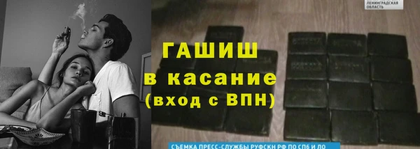 PSILOCYBIN Зерноград
