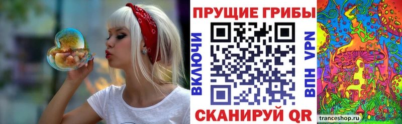Купить закладки  Бирск  Галлюциногенные грибы GOLDEN TEACHER 